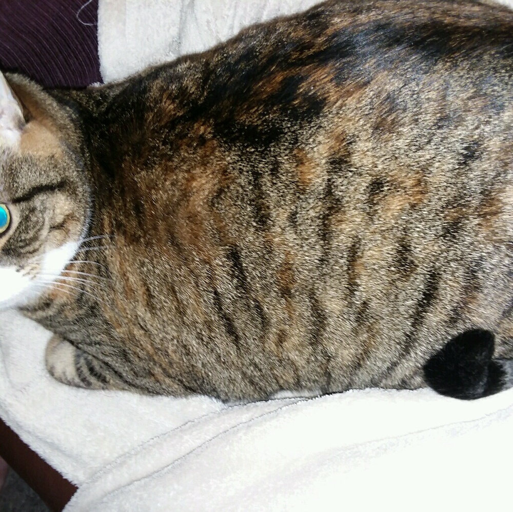 Meet your Posher, Terry